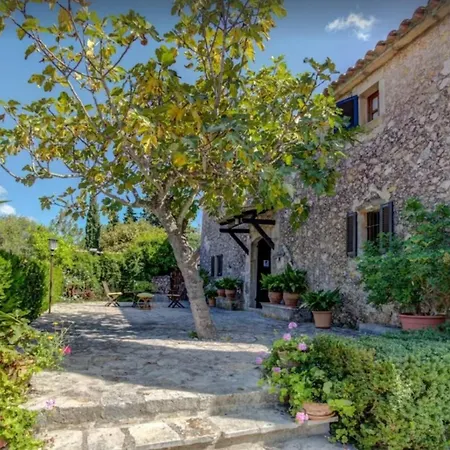 Cerda * Pollenca